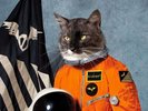 KLAXONS - SURFING THE VOID, 2020 EU ORANGE vinyl 2LP, SEALED  RSD 2020