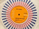 Peter Tilbrook - A Mad Man Roams Tonight / I Wonder Why Rare 1972 Oz 45