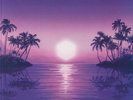 PURPLE DISCO MACHINE - Paradise - Vinyl (2xLP)