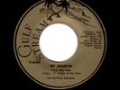 ROCKABILLY-RHYTHM ROCKETS-MY SHADOW/LUCKY DAY-GULFSTREAM 6654/6655