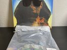 KISS HOT IN THE SHADE 35th ANNIVERSARY DELUXE PICTURE DISC  066/500