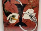 TOAD THE WET SPROCKET - Dulcinea LP - 180g Vinyl - 2024 Limited Press SOLD OUT