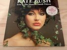 Kate Bush Live At The Hammersmith Odeon 1979  LTD Vinyl LP Mint Unplayed