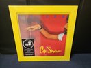 Cat Stevens -  Izitso - Lenticular Cover 2023 Vinyl Record New Sealed RARE