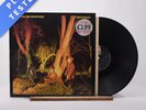 Echo & The Bunnymen Crocodiles Reissue LP Album Vinyl Record WEA 58 175 - VG+/EX