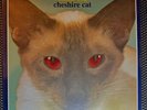 Blink 182 Cheshire Cat RED EYES Grilled Cheese Records GRL-001 LP - NOS - SEALED