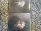 Cigarettes After Sex X's Vinyl- Limited Clear Vinyl + Exclusive Signed Print
