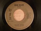 Beau Allen Fallen Angel/Pusher Man  RARE  Garage, Psych 1970 HFA International