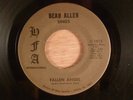 Beau Allen Fallen Angel/Georgia Ground RARE Garage, Psych 1970 HFA International