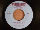 The Aerovons Was It Meant To Be/Be Bop A-Lula 1965 Florida Garage, RARE