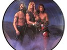 SPINAL TAP BREAK LIKE THE WIND 1992 orig vinyl MCA PICTURE DISC mcap-10514 LP