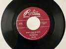 Sequins DOO WOP 45 Don't Fall In Love / Why Can't You Treat Me RED ROBIN M- HEAR