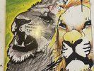 Yeah Yeah Yeahs Fever to Tell Picture Disc  Vinyl LP