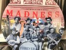 Madness – Forever Young 12