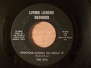 The Evil Whatcha Gonna Do About It/Always Runnin' Around RARE  Garage, Psych