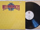 YELLOWJACKETS - OMONIMO SAME - ANNO 1981 Stampa Germania - EX+++