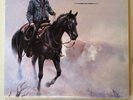 Ween 12 Golden Country Greats 2010 Marbled Brown Vinyl LP Used