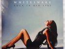 WHITESNAKE - ROCK IN RIO 1985 2xLP VINYL 2023 *NEW/SEALED*