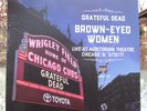 2019 Chicago Cubs Wrigley Field GRATERFUL DEAD Brown-Eyed Woman Spatter Vinyl 45