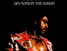 Syl Johnson - Diamond In The Rough (Vinyl LP - 2023 - EU - Original)