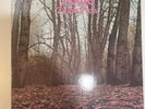 Twink - Think Pink, Akarma AK 064 Italian import 2010 LP Reissue Gatefold