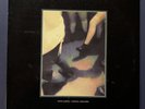 Hippo Campus ‎Bashful Creatures Vinyl Record LP  Limited