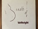 Birthright - Breath of Life LP VG+ RARE SPIRITUAL SOUL JAZZ FUSION PRIVATE PRESS