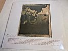 PIXIES SURFER ROSA VINYL RECORD LP STILL SEALED MINTY GIGANTIC