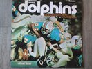 1971 The Dynamic Young MIAMI DOLPHINS LP Fleetwood