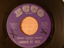 Lincoln St. Exit Sunny Sunday Dream/The Bummer RARE  Fuzz Garage, Psych