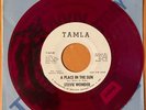 STEVIE WONDER A Place in the Sun TAMLA WHITE LABEL PROMO RED WAX 1966 45  EX