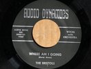 The Bristols-Where Am I Going-AUDIO DYNAMICS 1152 M- GARAGE