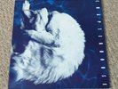Chapterhouse Whirlpool Lp Uk 1st Press SUPERB  [Ex+/Ex] BANGER*****