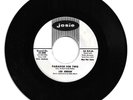 RARE DOO WOP 45 LOU JORDAN/GRP PARADISE FOR TWO ON JOSIE  VG+  ORIGINAL PROMO