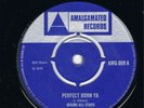 IMMORTALS-PERFECT BORN YA-RED RED WINE AMALGAMATED UK 1970 EX+