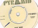 DERRICK MORGAN-WANT MORE-ROLAND ALPHONSO-GOODNIGHT MY LOVE-PYRAMID UK L KONG PRO