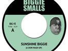 Biggie/2Pac - Sunshine Biggie/Thug Stylin' [7