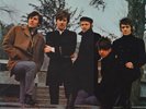 The Hollies - Evolution (LP, Album) (Good Plus (G+)) - 1564206400