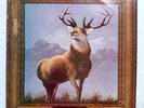 Killdozer - Twelve Point Buck * Vinyl Lp * 1st Press * 1989 * Free P&P UK *
