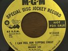 Mamie Lee The Show Is Over/ I Can Feel Him Slipping Away MGM PROMO Soul 45 HEAR