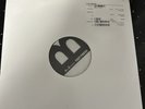 Test Press - Miniature Tigers - Tell It To The Volcano Vinyl