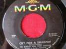 THE BEATLES & TONY SHERIDAN 45 rpm MGM K13227 (1964) VG