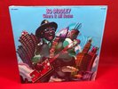 BO DIDDLEY Where It All Began 1972 US vinyl LP CH50016 I've Had It Hard Bad Trip