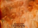 Agnes Obel - Citizen Of Glass (Vinyl LP - 2016 - EU - Original)