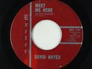 Rockabilly Garage 45 - David Hayes/Pawns - Meet Me Here/Lonely - Exteter