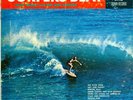Mike Adams And The Red Jackets - Surfers Beat (LP) NM or M- - 3390303015