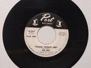 The Jury – Please Forget Her / Who Dat? - PROMO - 45-3019 - Garage Rock - 45 RPM