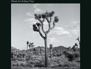 Loop Diary - Music For Joshua Tree [New Vinyl LP] Ltd Ed