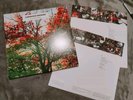 EINAUDI, Ludovico - In A Time Lapse - Vinyl (gatefold 2xLP)LP VINYL