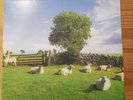 The KLF – Chill Out / LP Clear Vinyl JAMS LP5 MINT UNPLAYED COPY